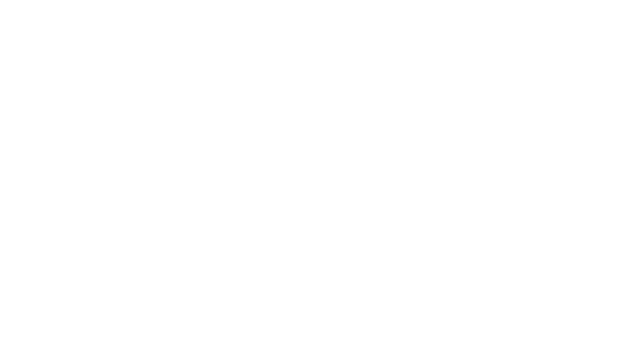 Neerzaa